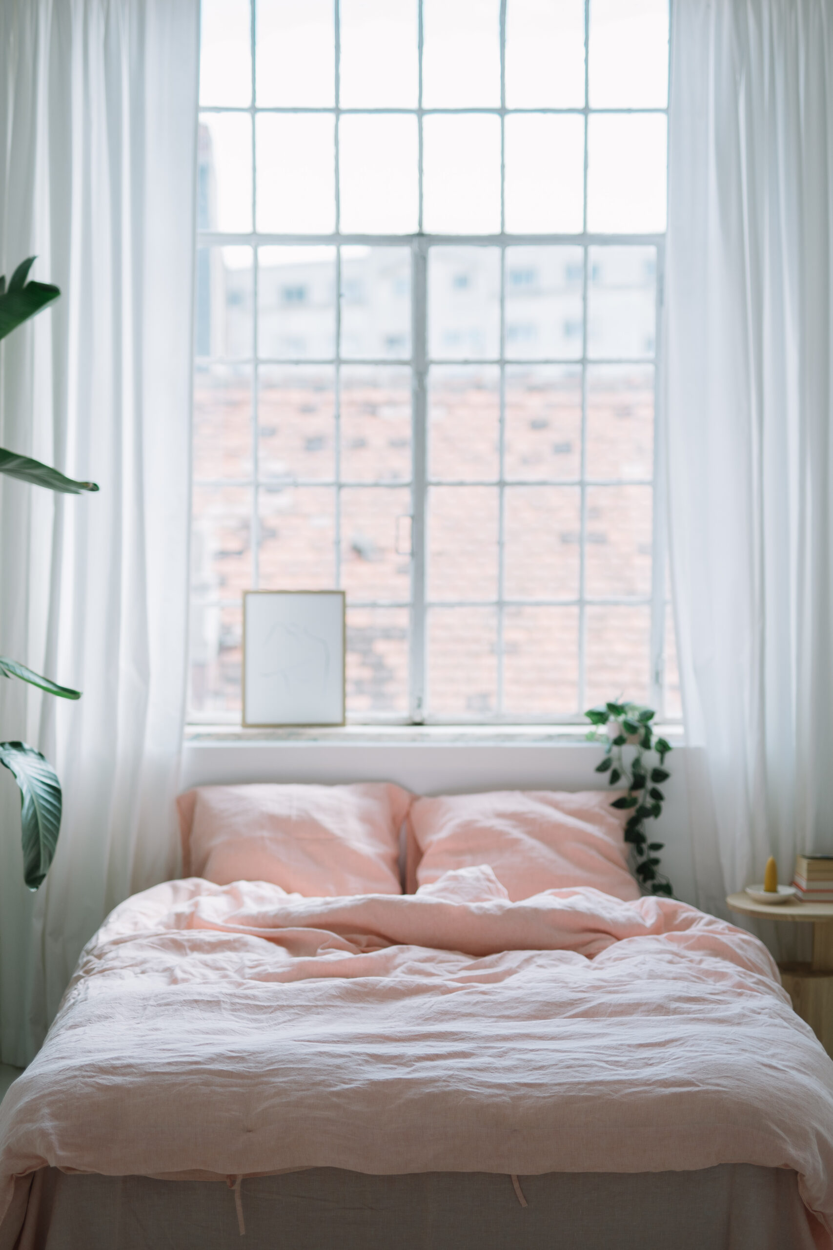 Dusty Pink Set 50x70 Pillowcases and 220x220 Quilt Cover