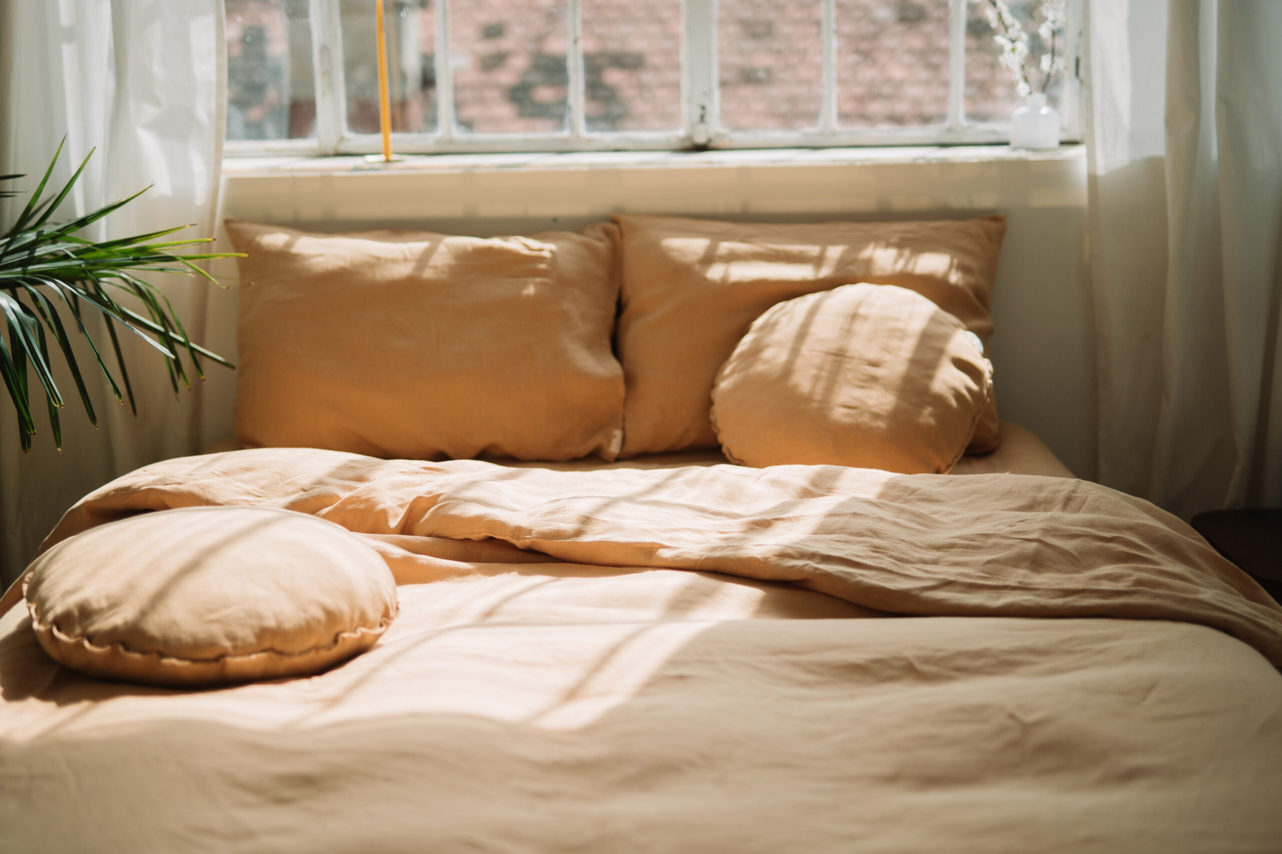 Gentle Daisy Set 80x80 Pillowcases and 220x240 Quilt Cover