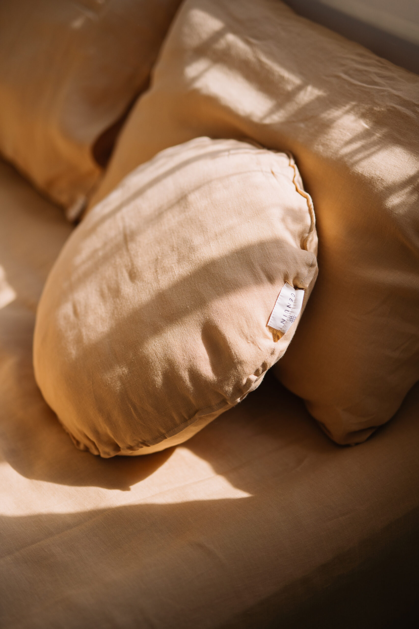 Gentle Daisy Set 50x60 Pillowcases and 80x200 Sheet