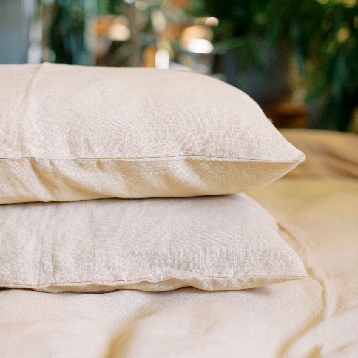 Gentle Daisy Pillowcases