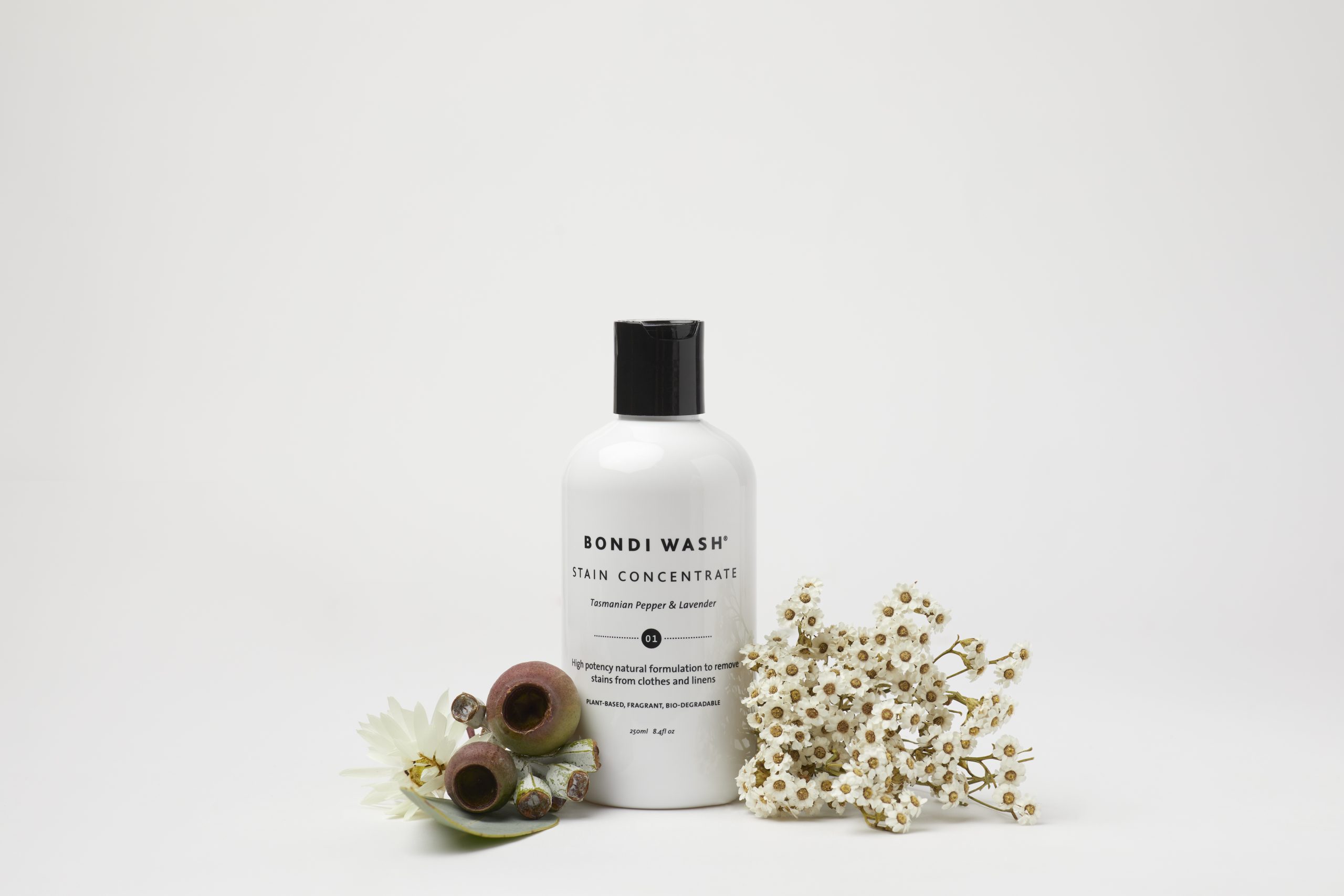 NATURAL STAIN CONCENTRATE